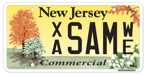 Treasure Our Trees Commercial License Plate