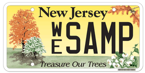 Treasure Our Trees Passenger License Plate