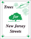 Trees for New Jersey Streets