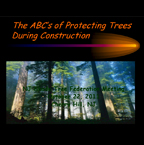 The ABC's of Protecting Trees During Construction
