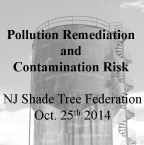 Pollution Remediation and Contamination Risk