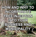 How (and Why) to Incorporate Tree Injection into Your Business and Municipality